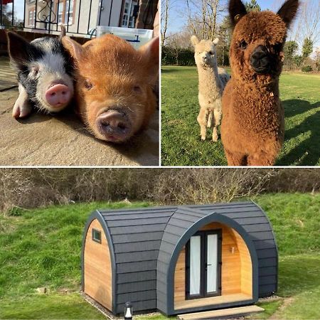 Отель The Piggery Pod Ситтингбурн Экстерьер фото