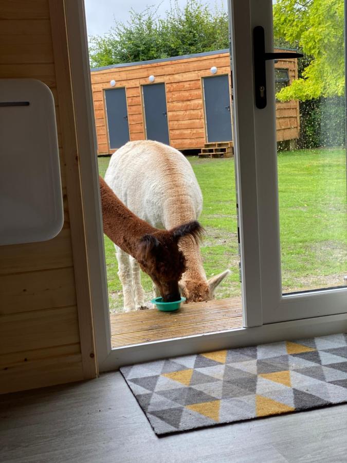 Отель The Piggery Pod Ситтингбурн Экстерьер фото