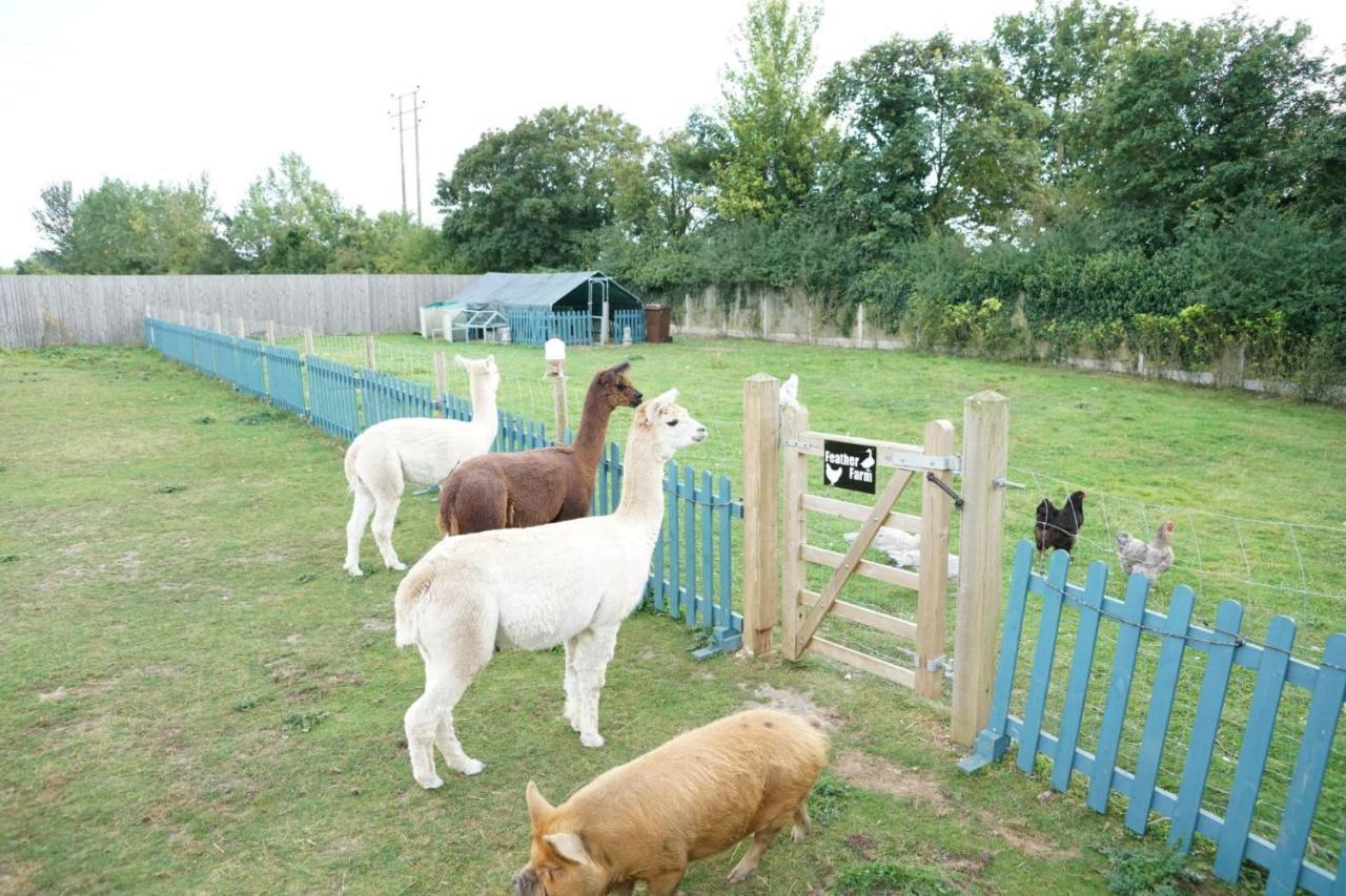 Отель The Piggery Pod Ситтингбурн Экстерьер фото